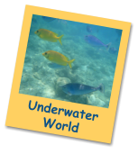 Underwater World