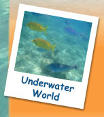 Underwater World