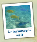 Unterwasser- welt