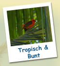 Tropisch & Bunt