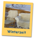 Winterzeit