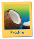 Früchte