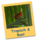 Tropisch & Bunt