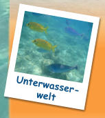 Unterwasser- welt