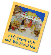 Affi freut sich auf Weihnachten