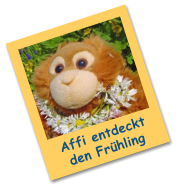 Affi entdeckt den Frühling