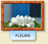 FLEURS