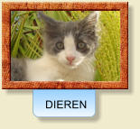 DIEREN