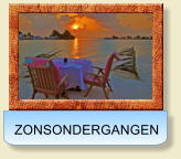 ZONSONDERGANGEN