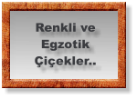 Renkli ve Egzotik  Çiçekler..