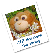 Affi discovers the spring