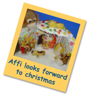 Affi looks forward to christmas