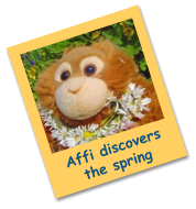 Affi discovers the spring