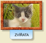 ZVÍŘATA