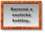 Barevné a exotické  květiny..