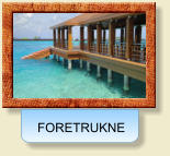 FORETRUKNE