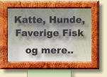 Katte, Hunde, Faverige Fisk og mere..