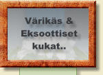 Värikäs & Eksoottiset  kukat..