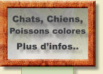 Chats, Chiens, Poissons colores Plus d’infos..