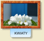 KWIATY