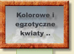 Kolorowe i egzotyczne kwiaty ..