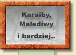 Karaiby, Malediwy i bardziej..