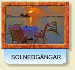 SOLNEDGÅNGAR