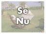 Se Nu